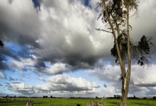 一号娱乐官网：热刺vs米兰传奇赛首发：皮尔洛领衔，贝巴、卡福、安布罗西尼先发.