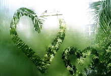 申花葬送好局 最痛苦的不是教练和球员 而是他们 08：.