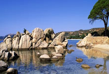 [欧冠开场哨]20240423 奥斯曼-登贝莱.